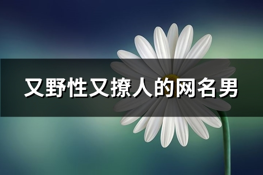 又野性又撩人的网名男(共222个)